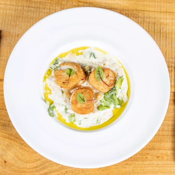 Three seared scallops on a bed of creamy risotto with greens and olive oil, in a white bowl.