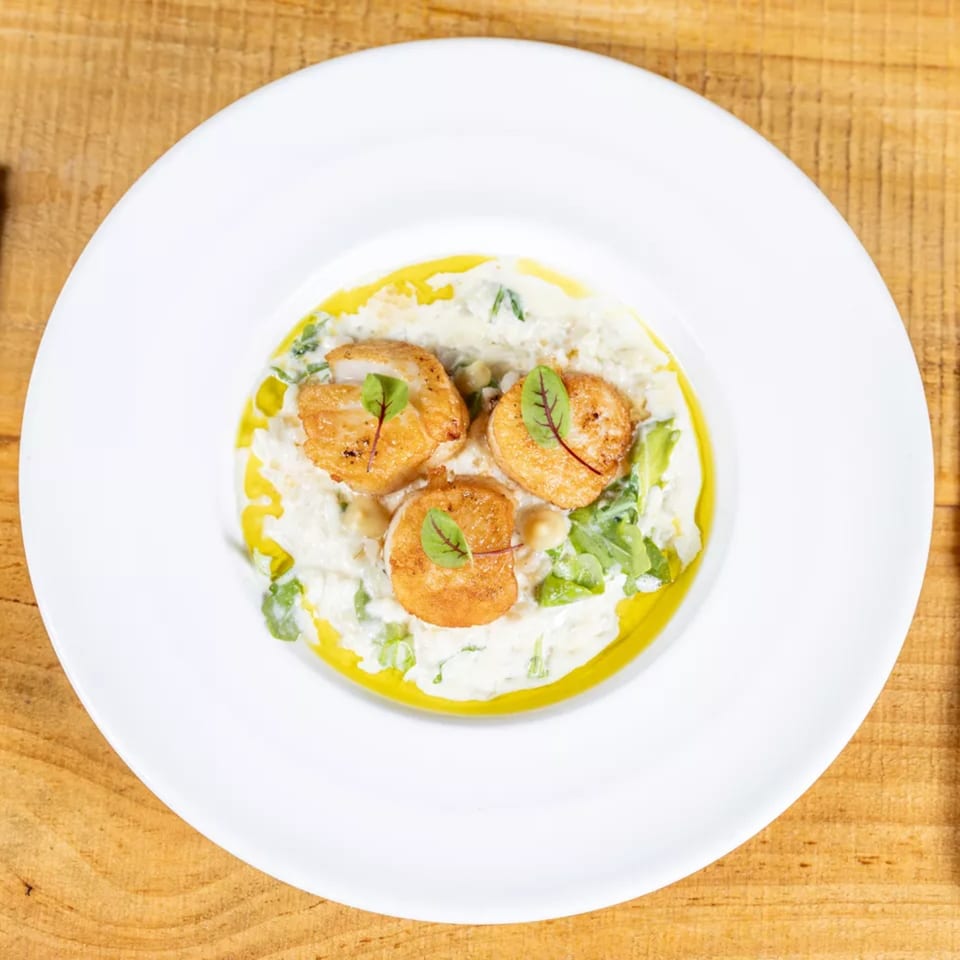 Three seared scallops on a bed of creamy risotto with greens and olive oil, in a white bowl.